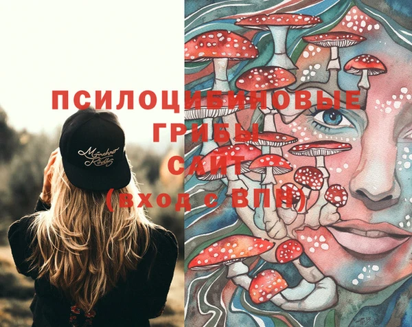 a pvp Новодвинск