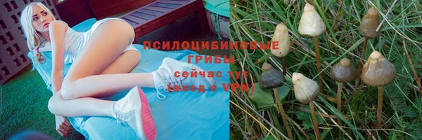 метадон Новокубанск