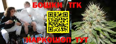 ешки Кингисепп