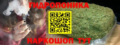 ешки Кингисепп