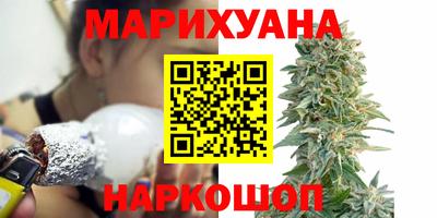 ешки Кингисепп
