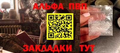 ешки Кингисепп