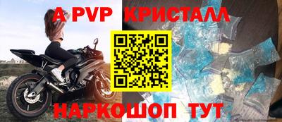 ешки Кингисепп