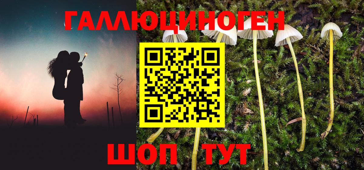 Галлюциногенные грибы мухоморы Лениногорск